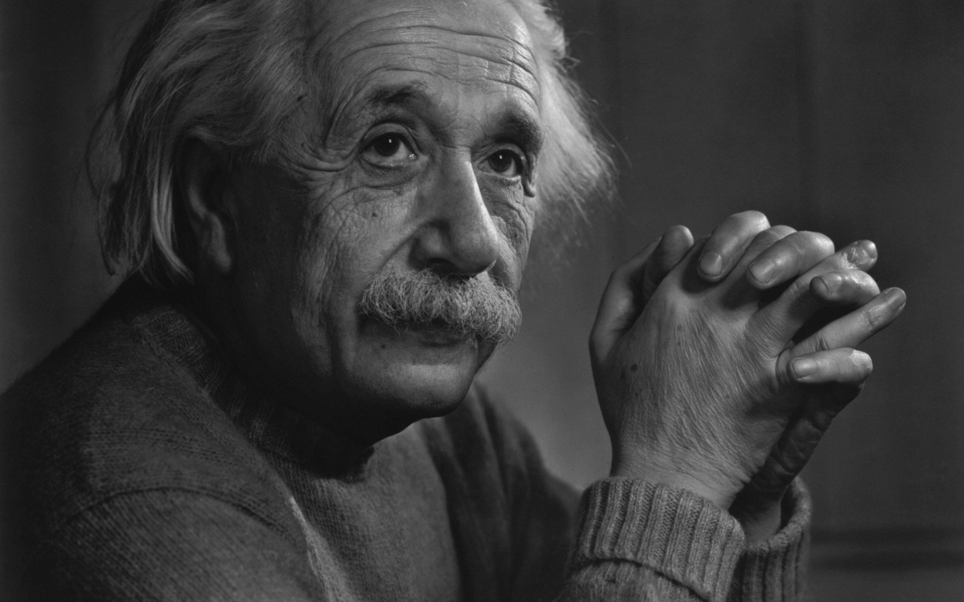 The common grayscale Einstein source image used in both products